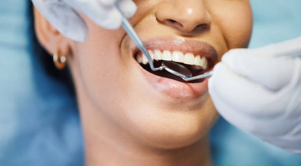Best Emergency Orthodontic Repairs in Citrus Park, FL